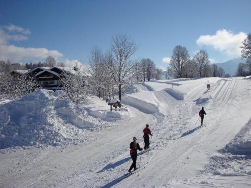 Alpenbad Aparthotel Ramsau am Dachstein Ngoại thất bức ảnh